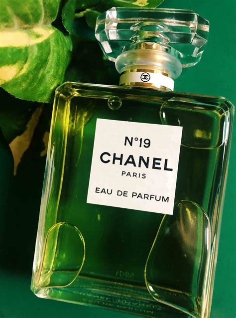 chanel 17 parfum|chanel 19 perfume offers.